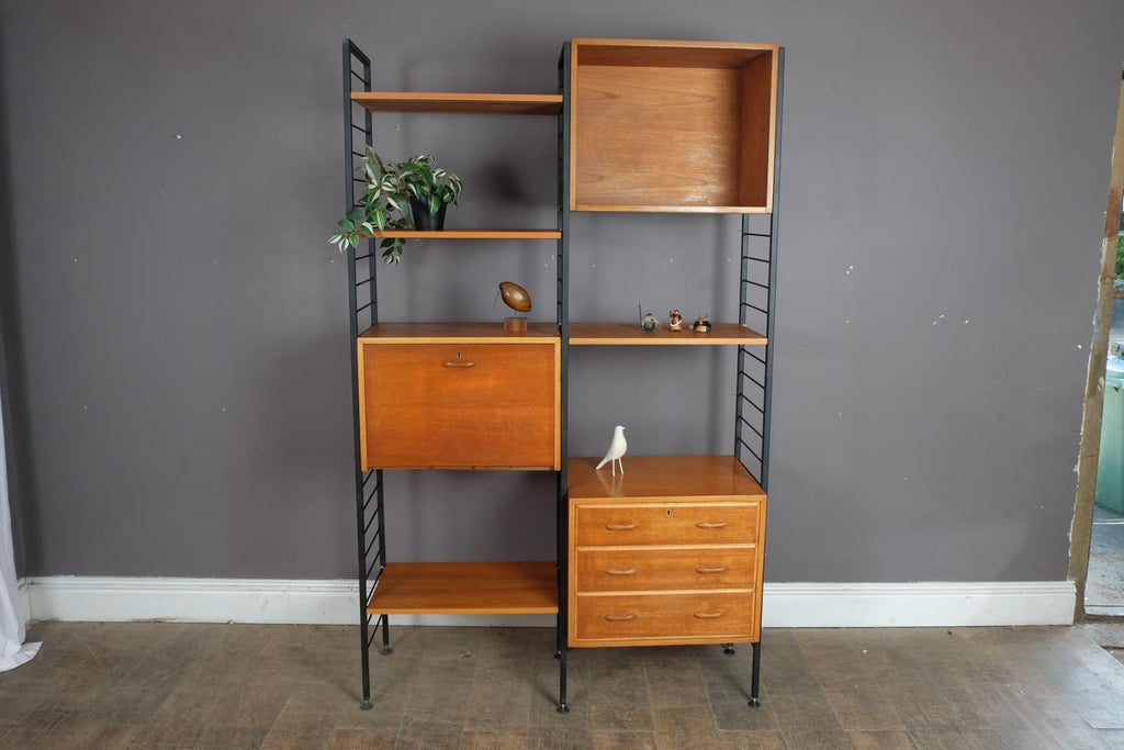 Vintage Retro 2 Bays of Narrow Staples Ladderax in Teak