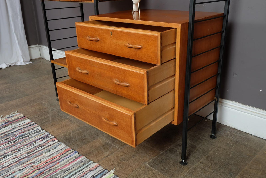 Vintage Retro 2 Bays of Narrow Staples Ladderax in Teak